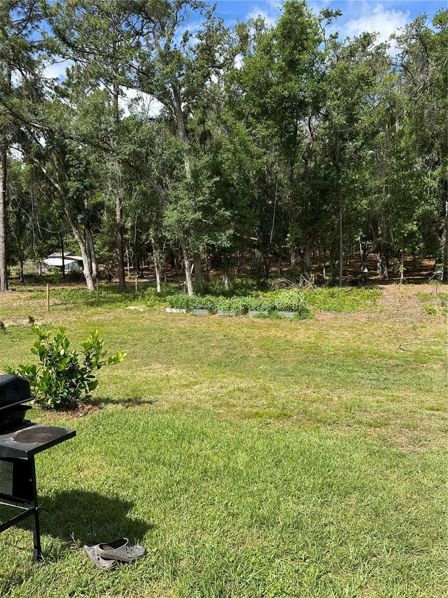 Photo #46
