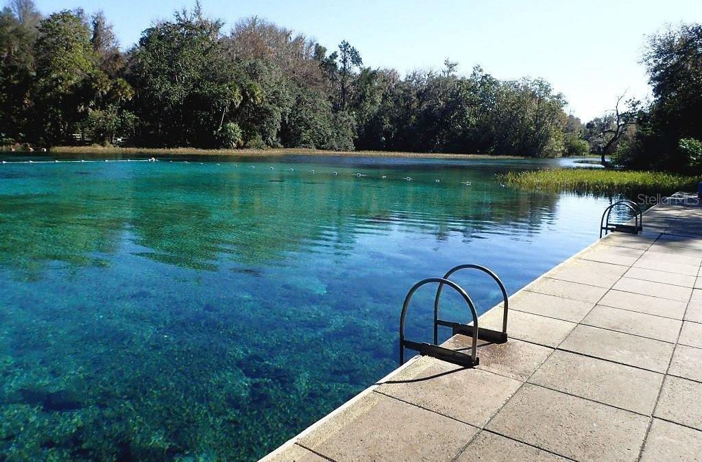 Photo #50