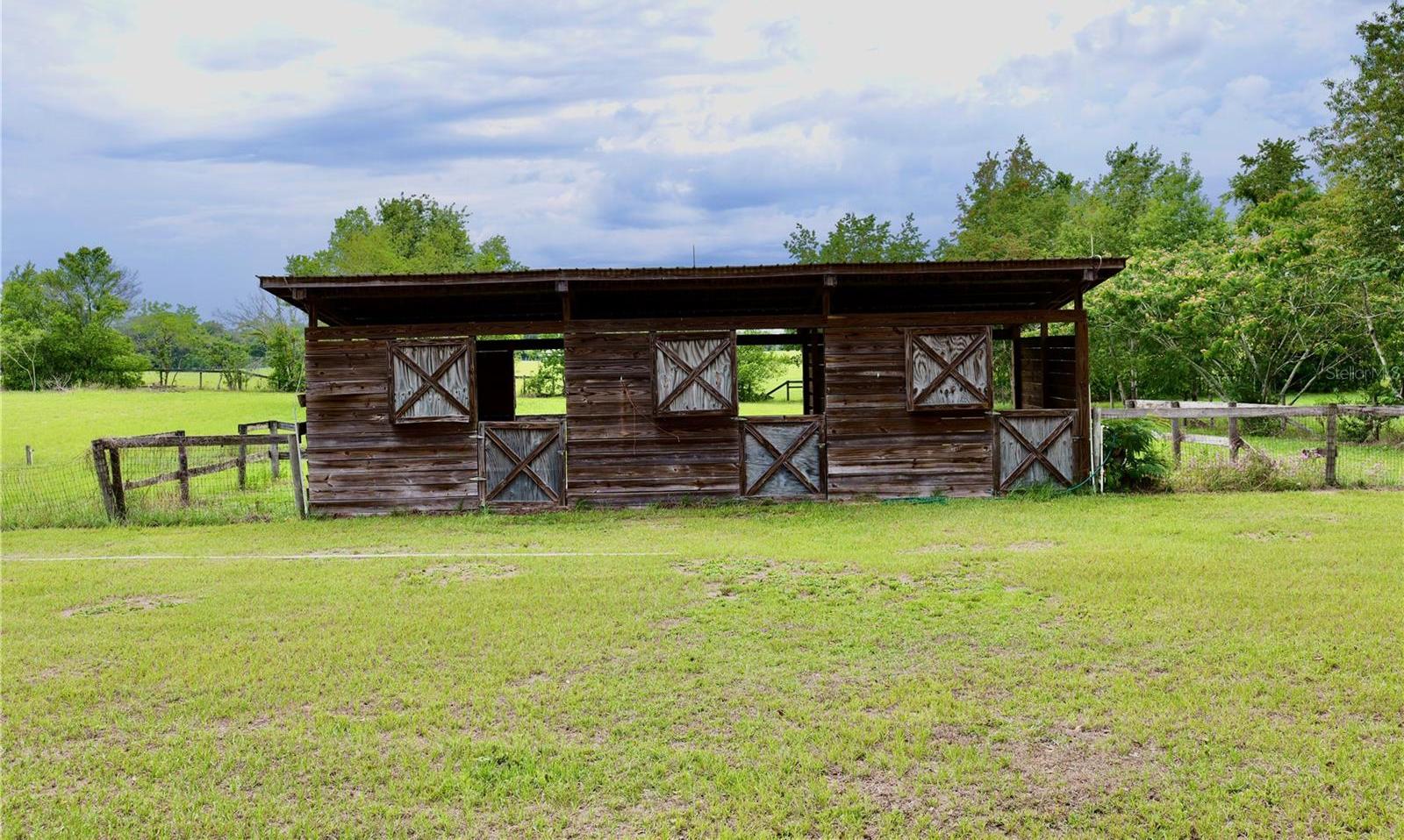 Photo #18