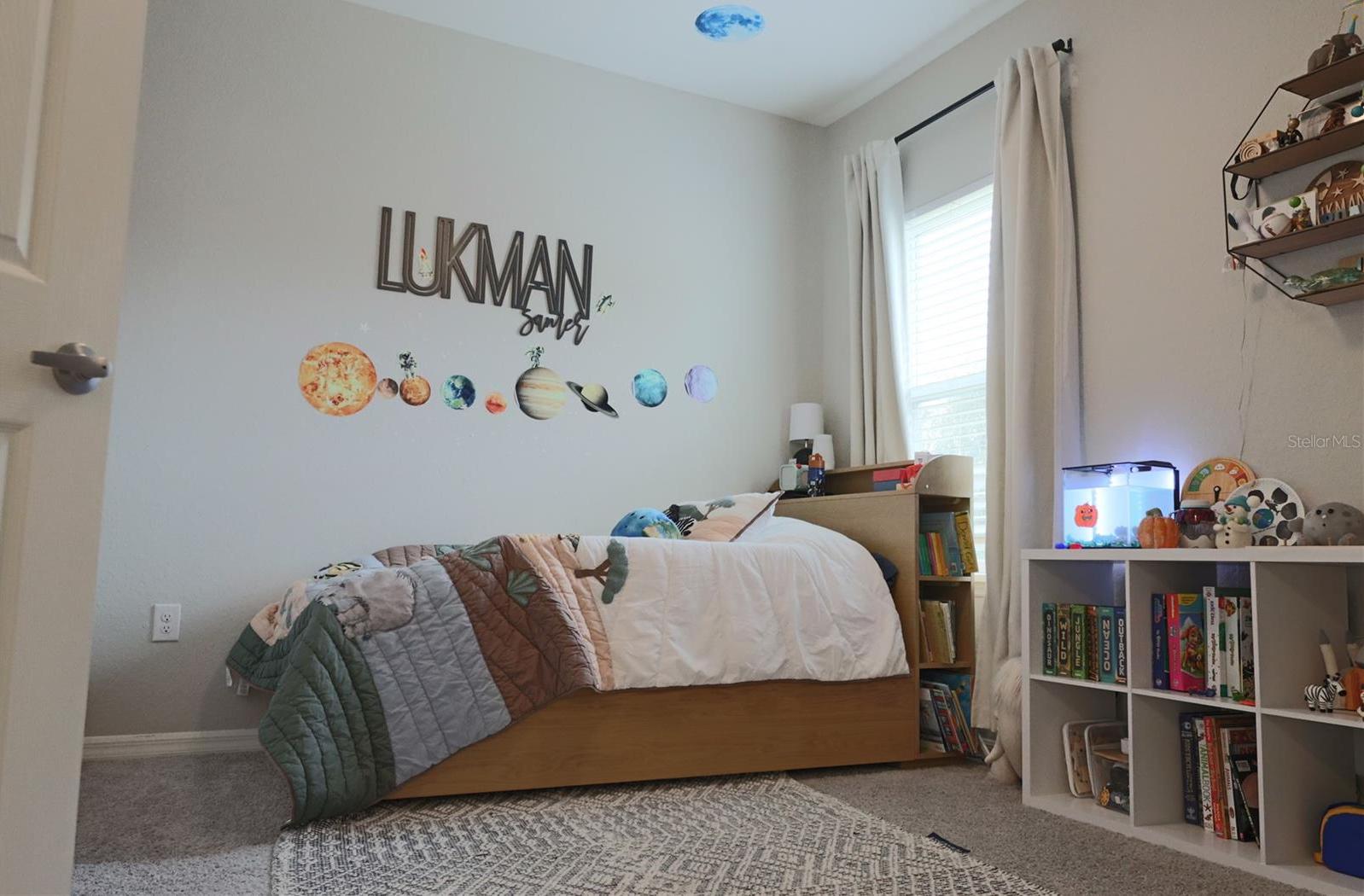 Photo #12