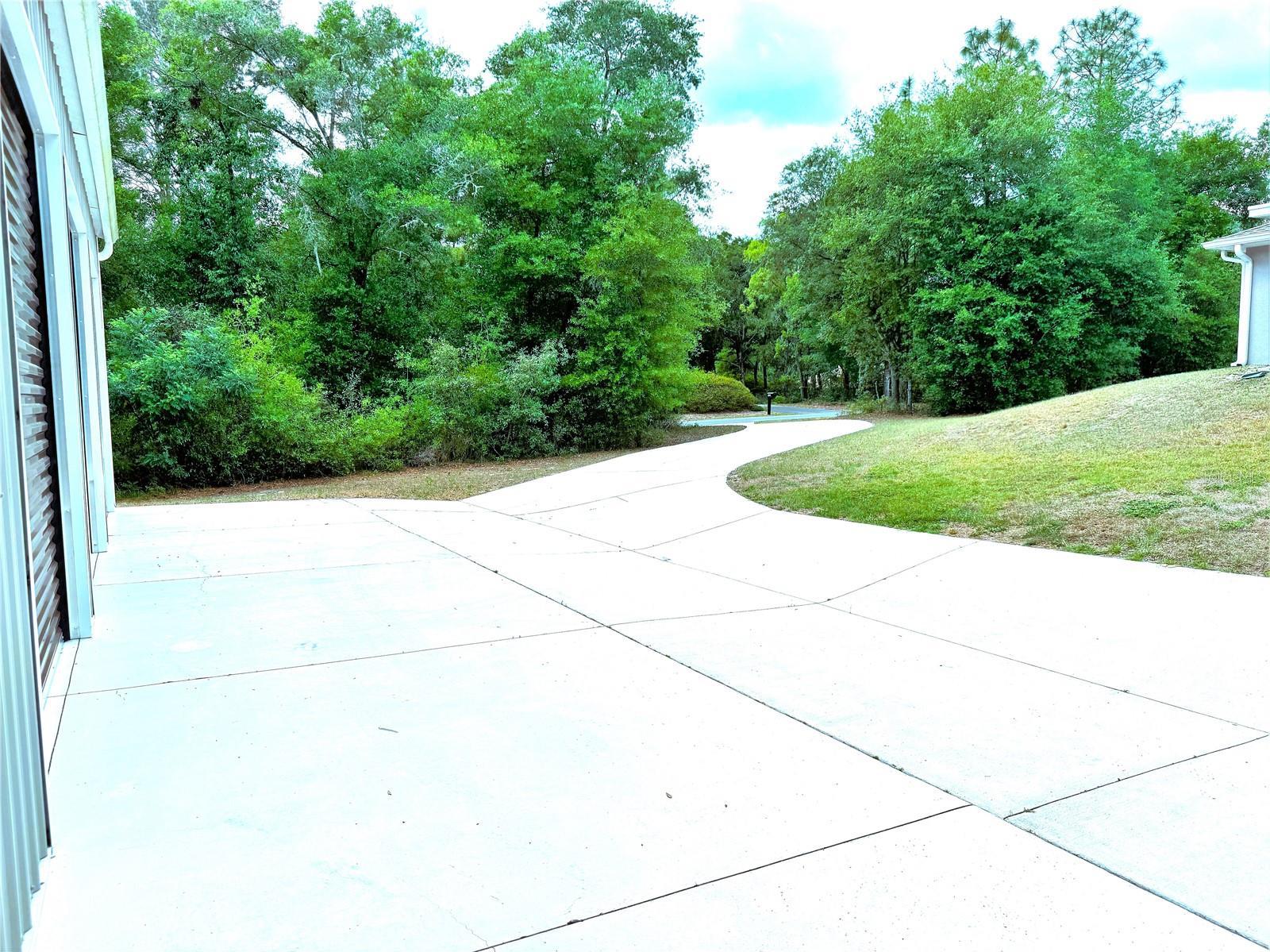 Photo #6