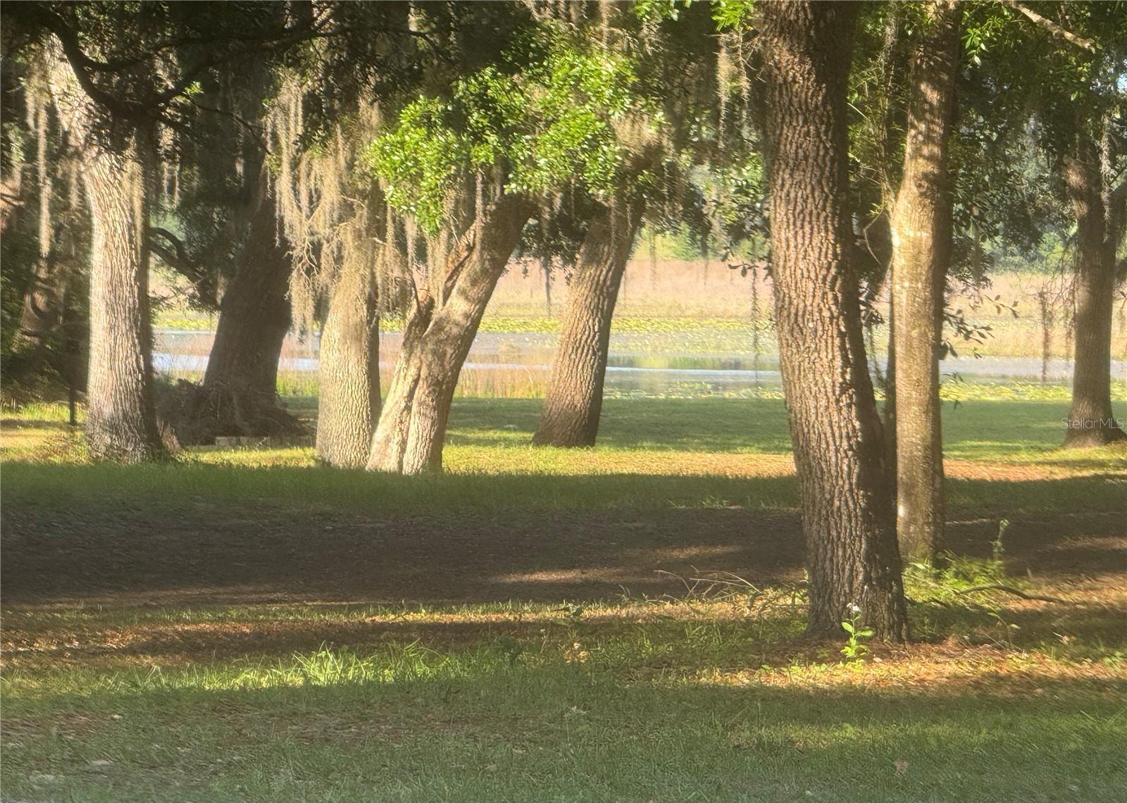 Photo #19