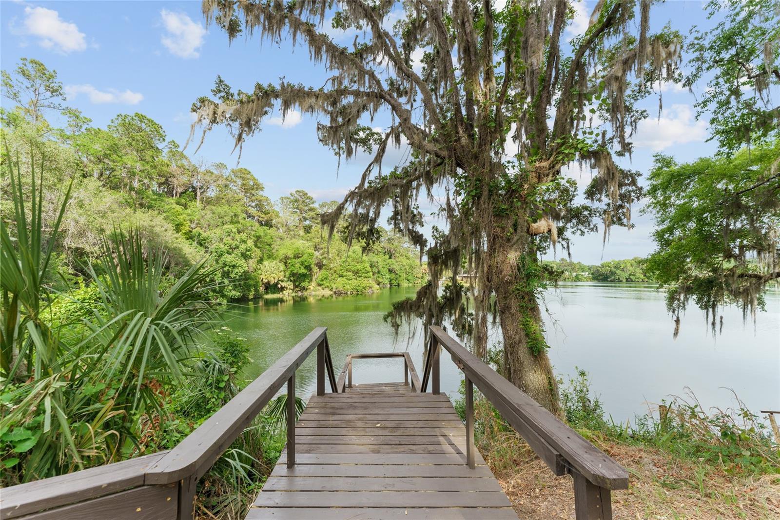 Photo one of 19938 Burkitt Rd Dunnellon FL 34432 | MLS OM700911