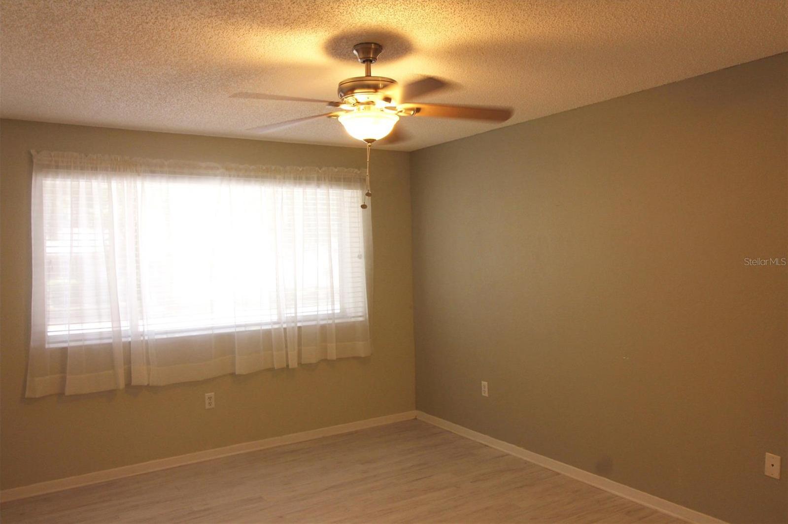 Photo #14