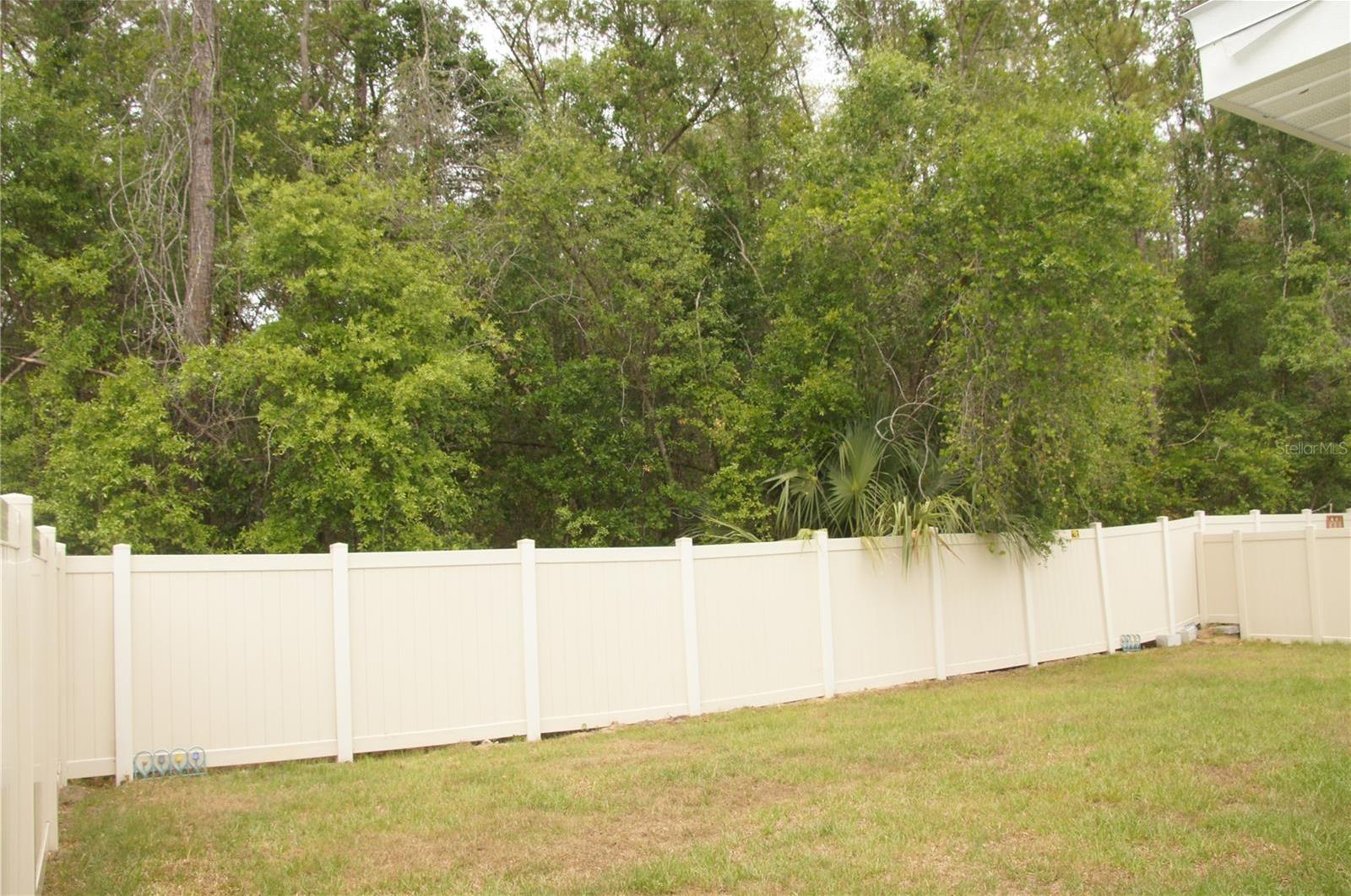 Photo #31