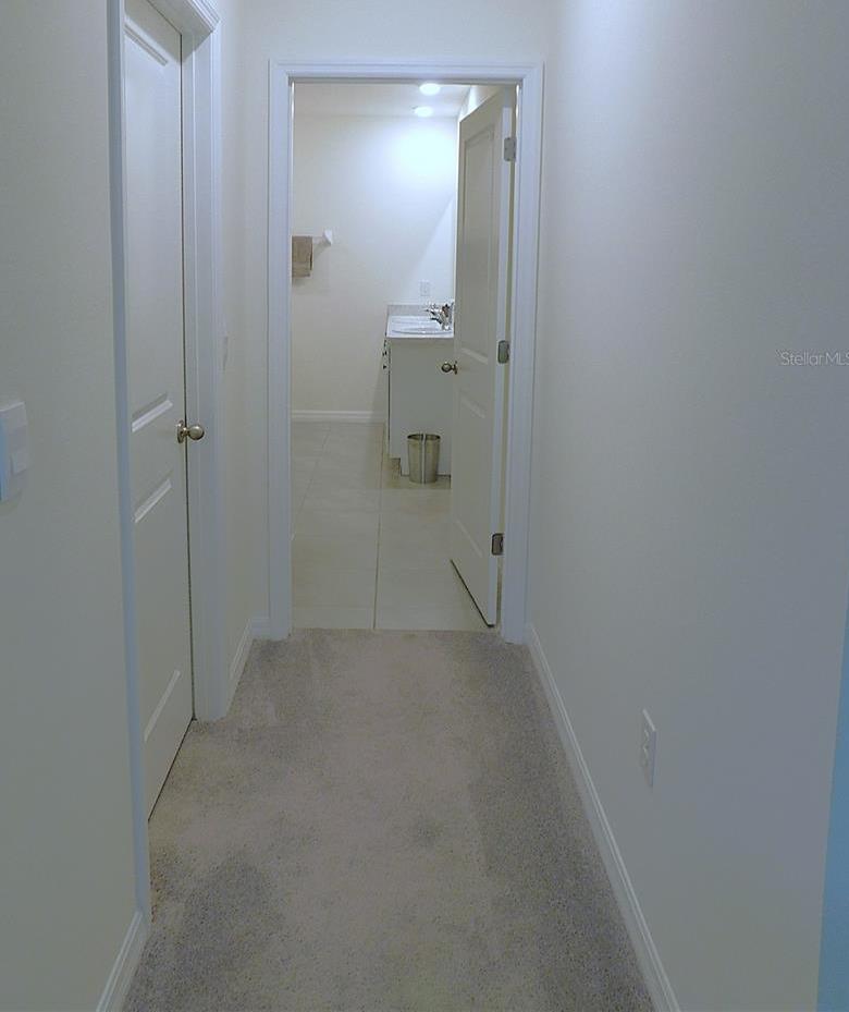 Photo #29