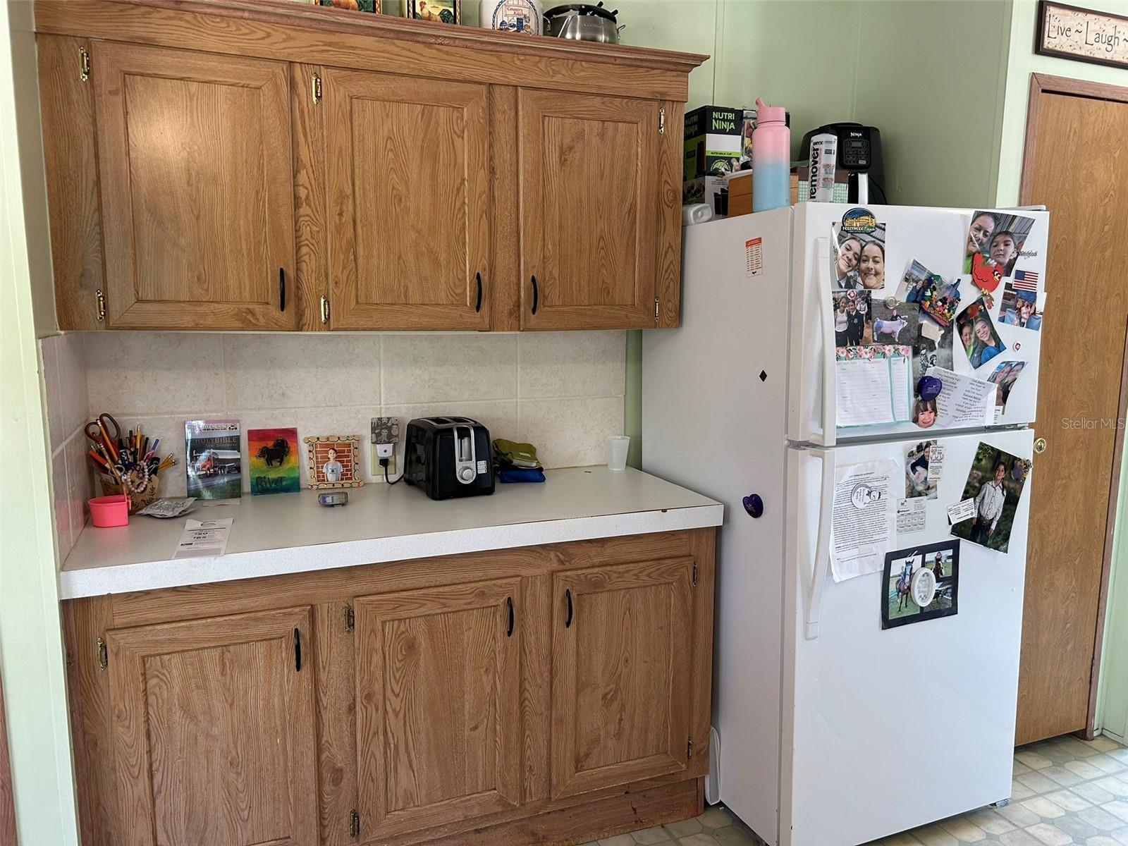 Photo #12