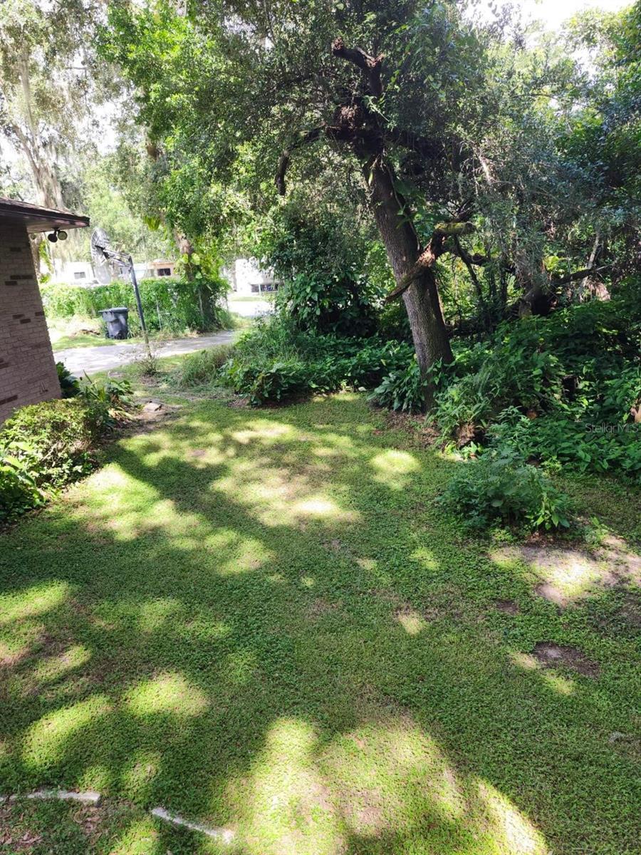 Photo #46