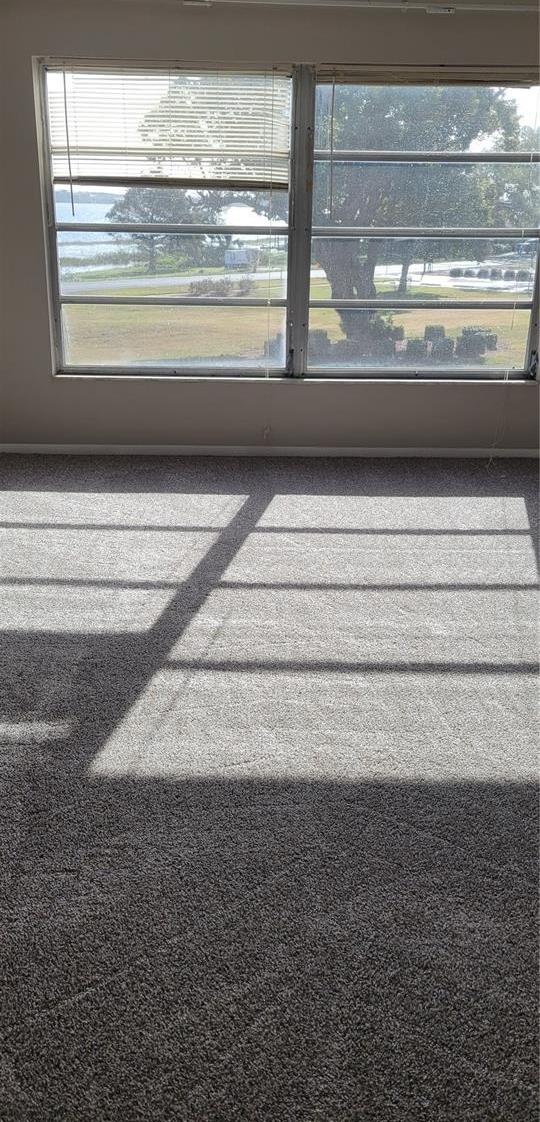 Photo #10