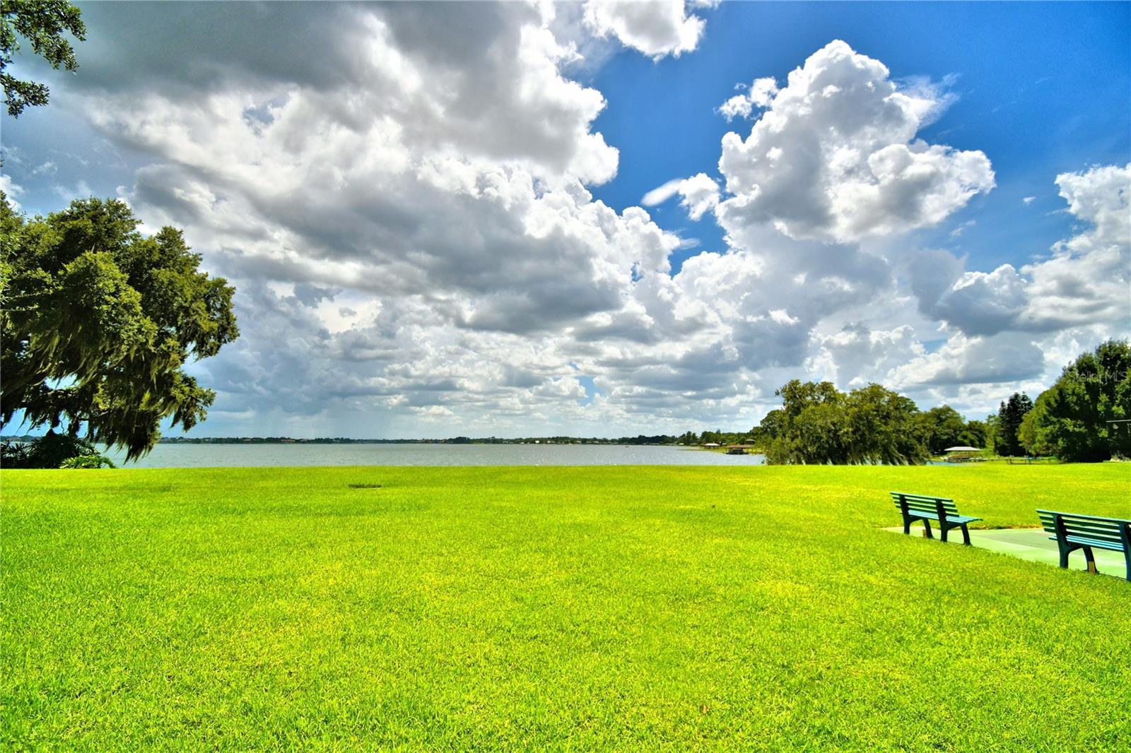 Photo #52