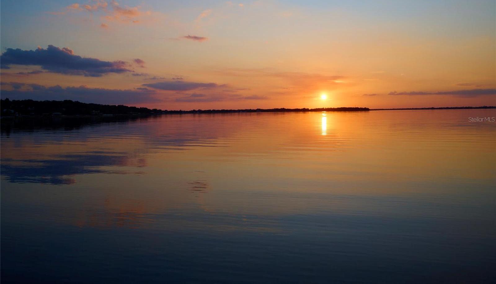 Photo #41