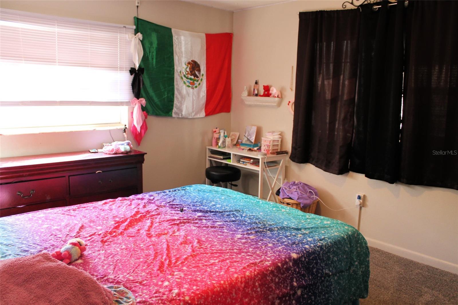 Photo #17