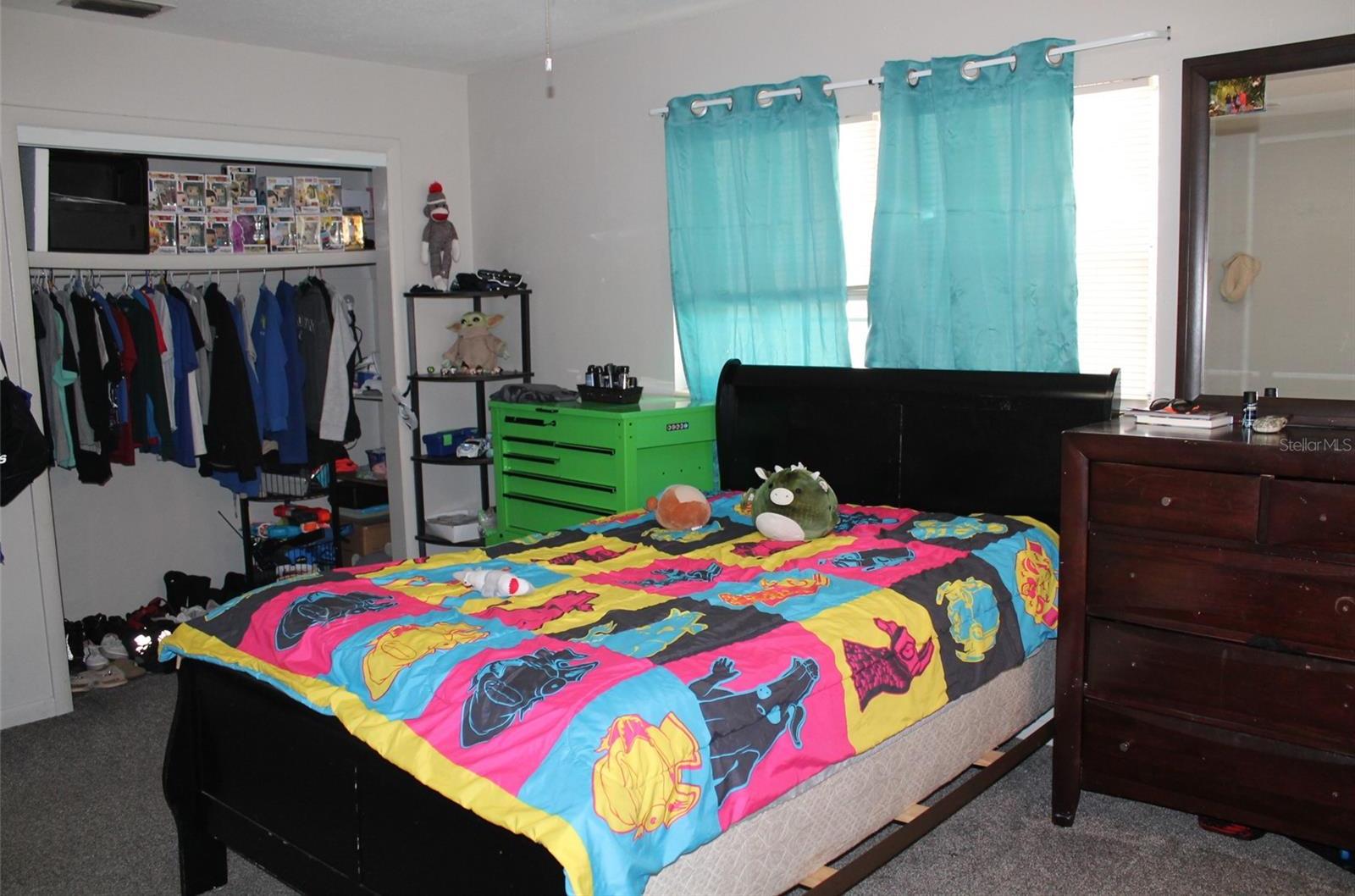 Photo #13