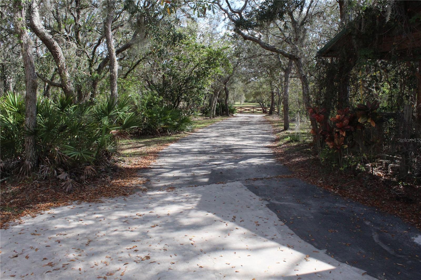 Photo #28