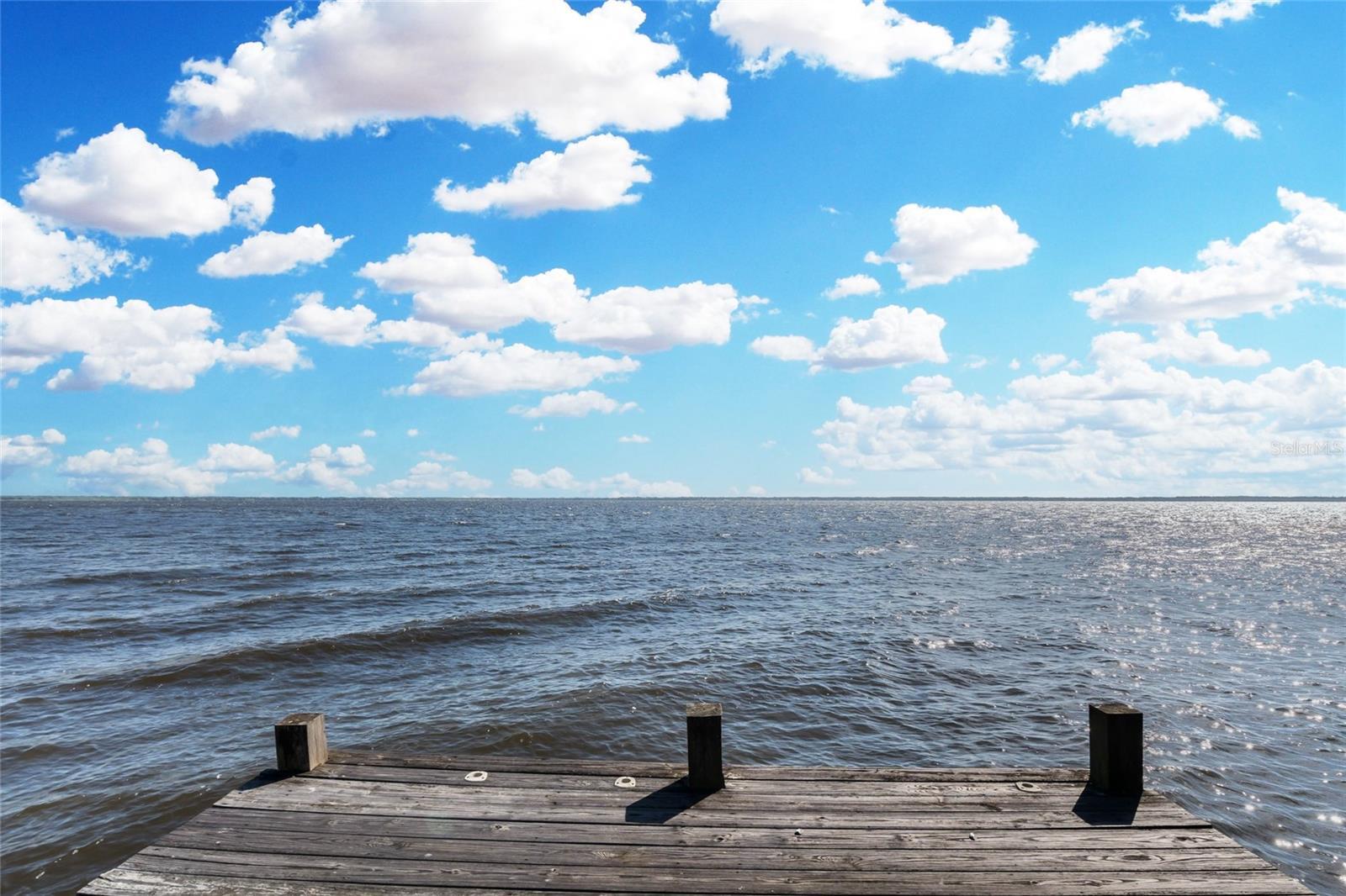 Photo #43