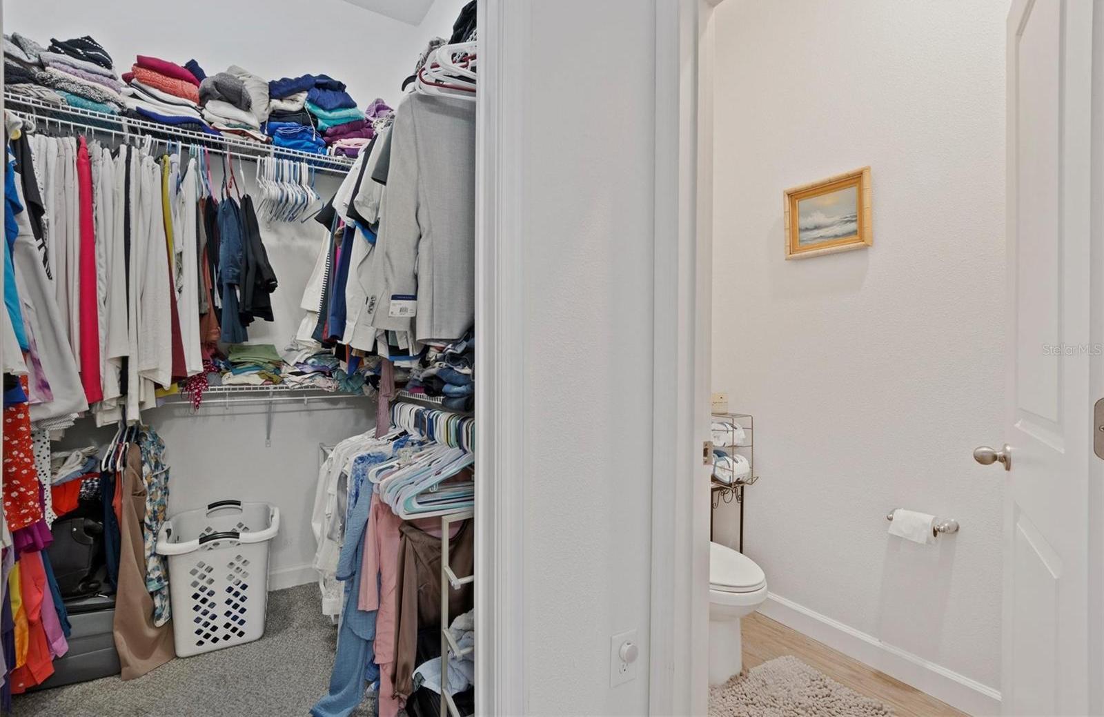 Photo #17