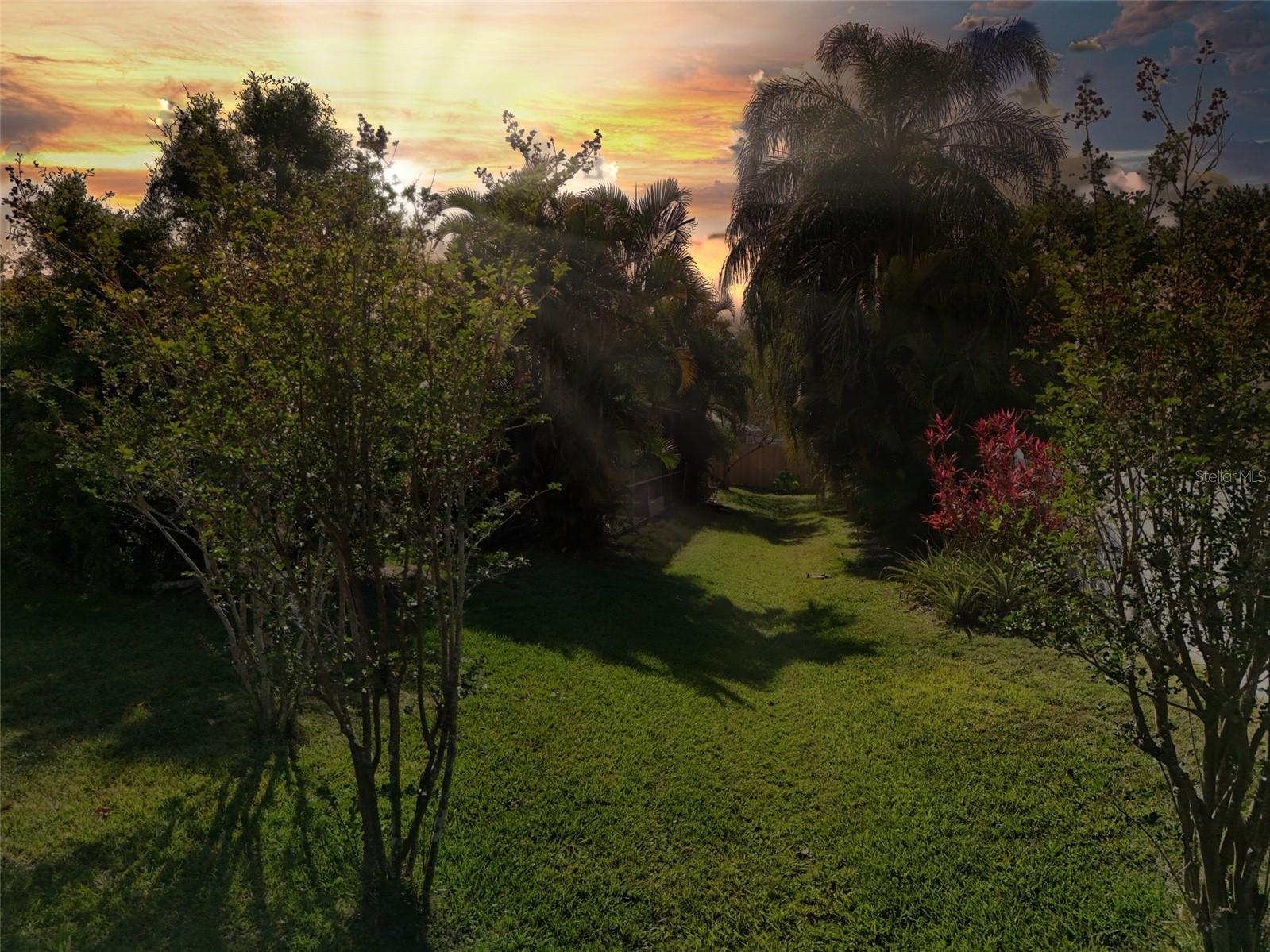 Photo #47