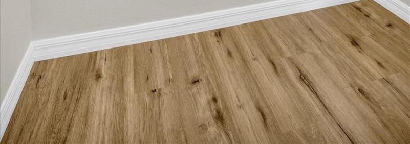 Photo #17