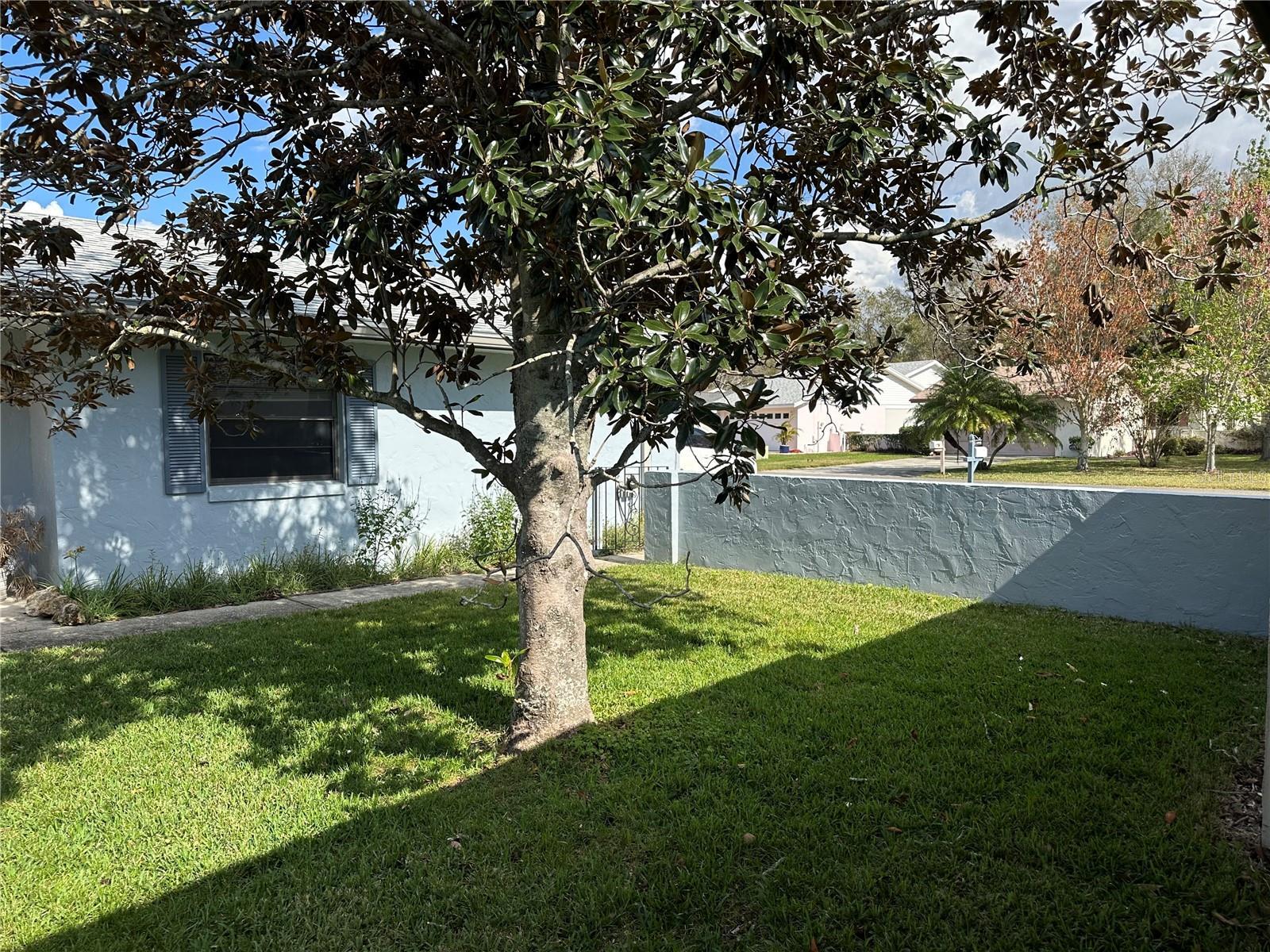 Photo #3