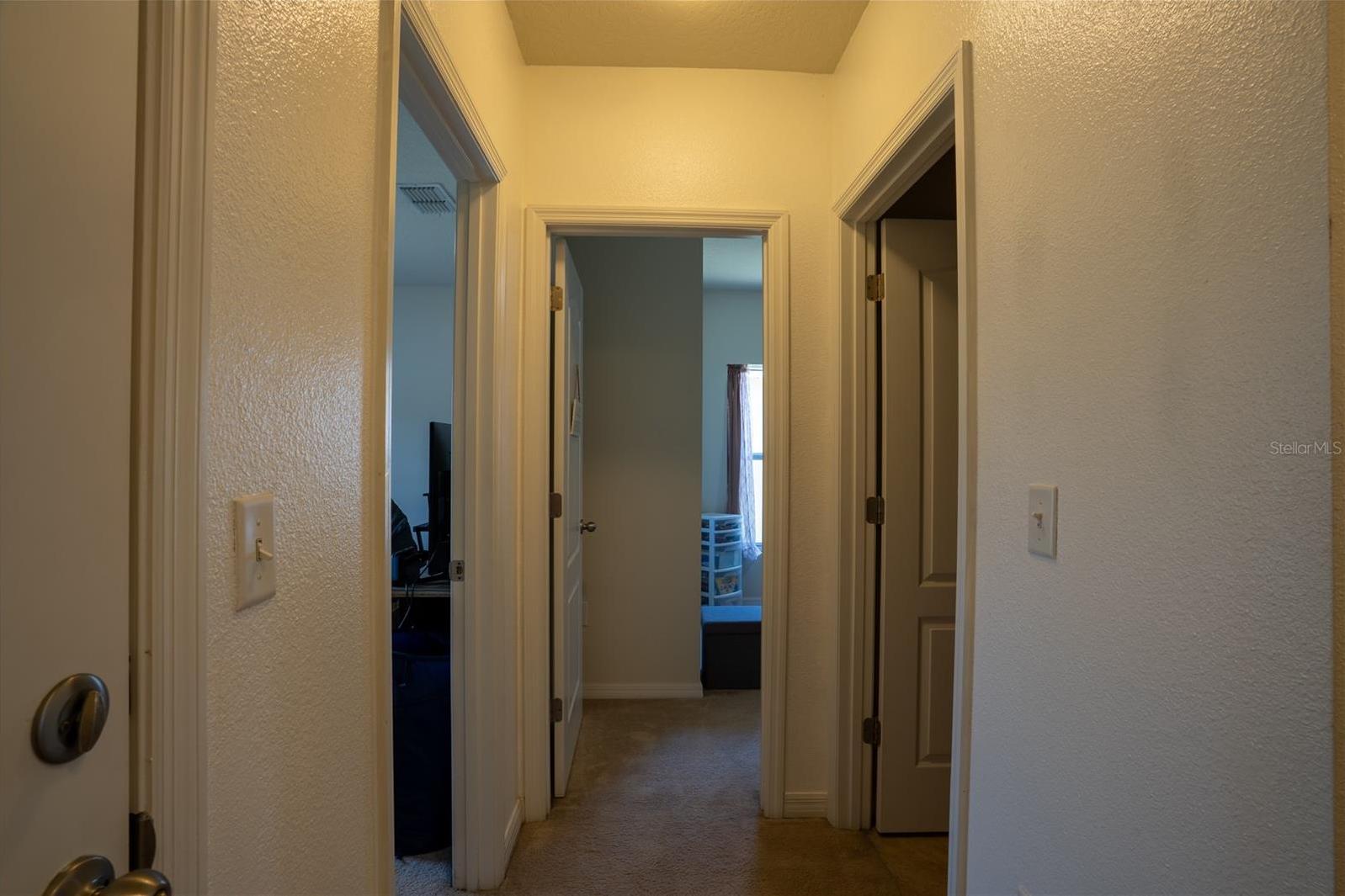 Photo #35