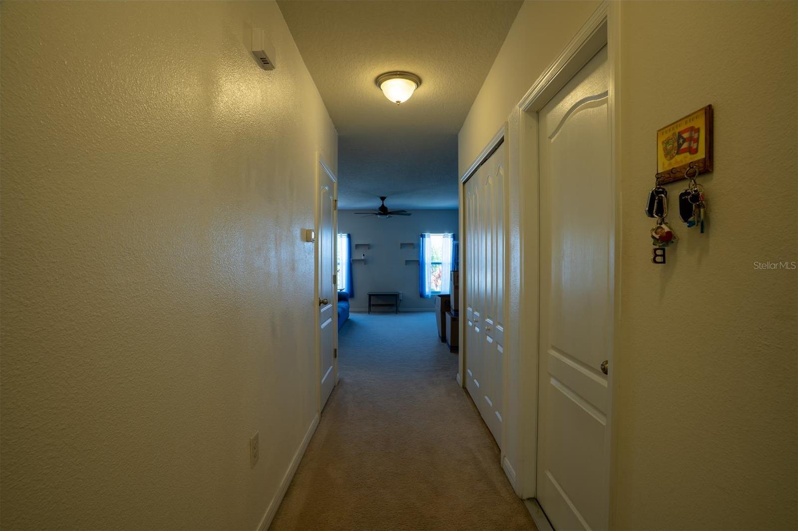Photo #34