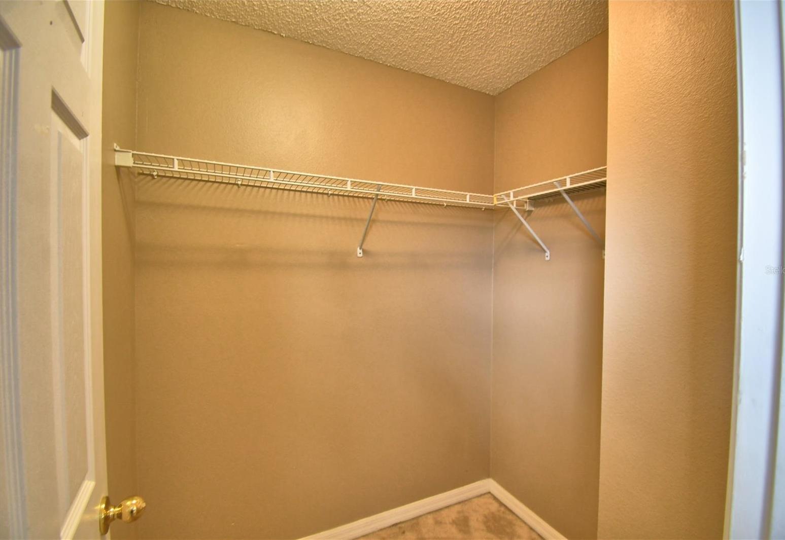 Photo #50