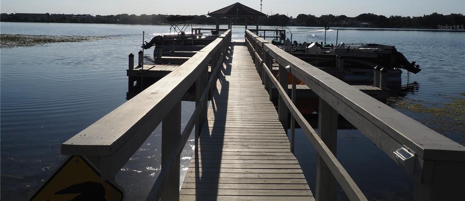 Photo #31