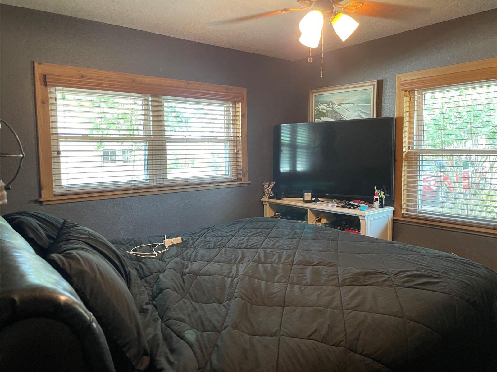Photo #31