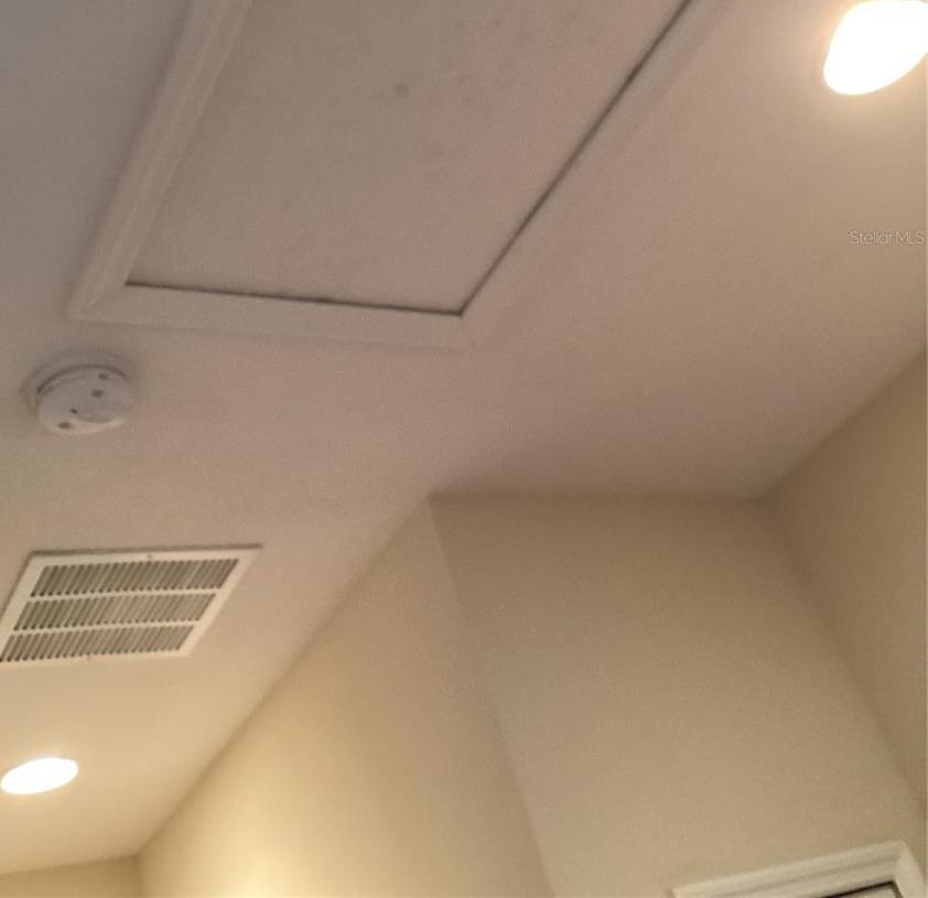 Photo #43