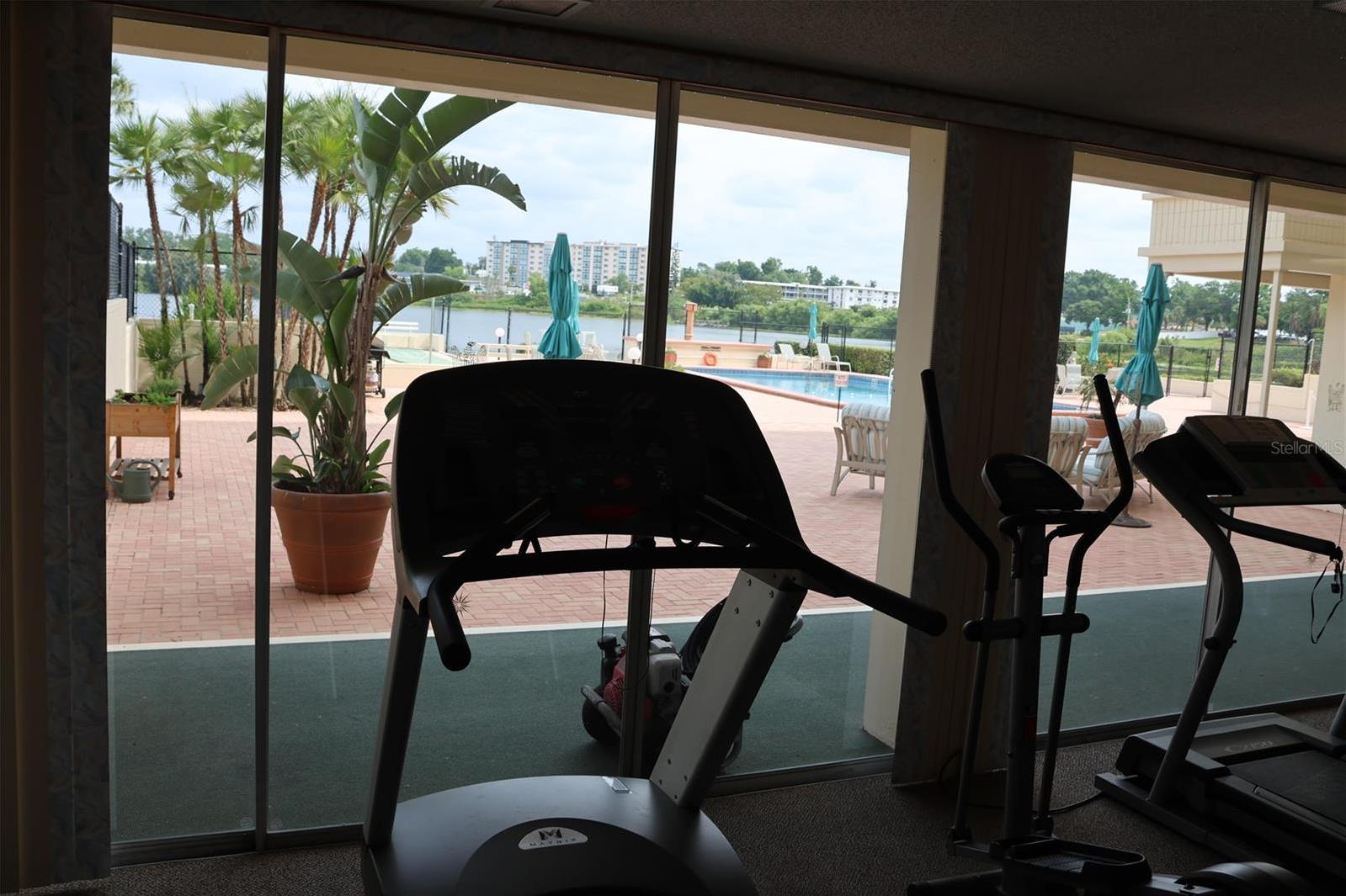 Photo #16