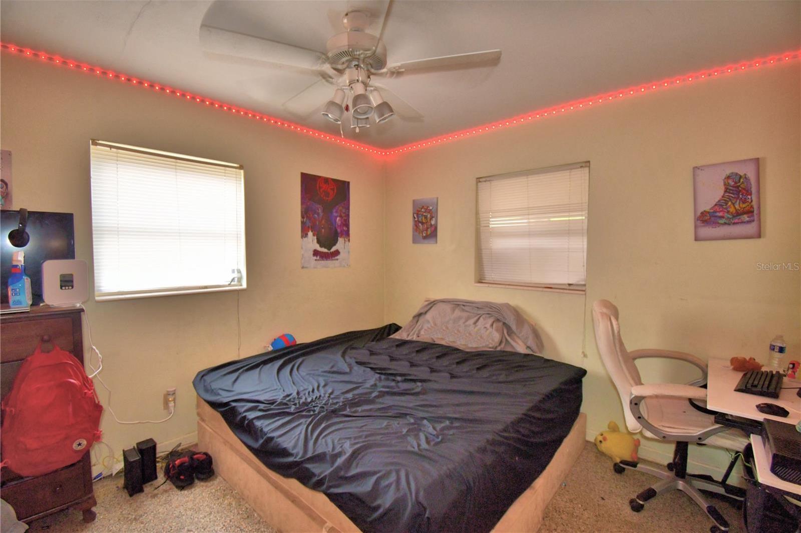 Photo #18