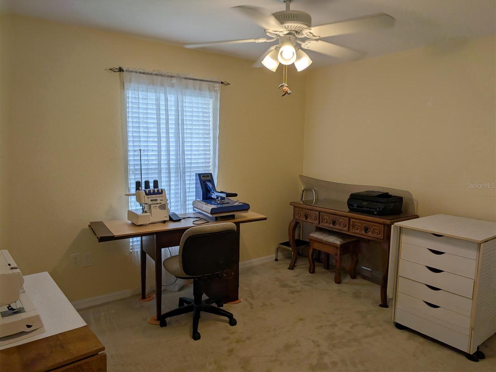 Photo #15