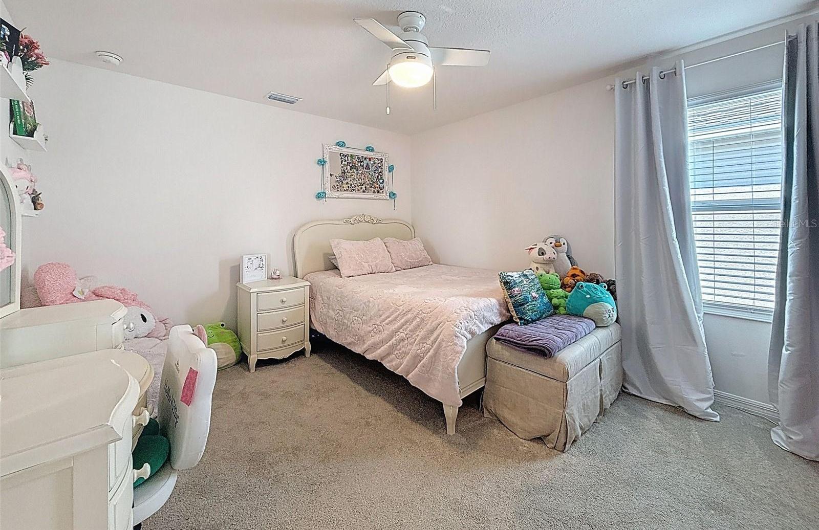 Photo #43