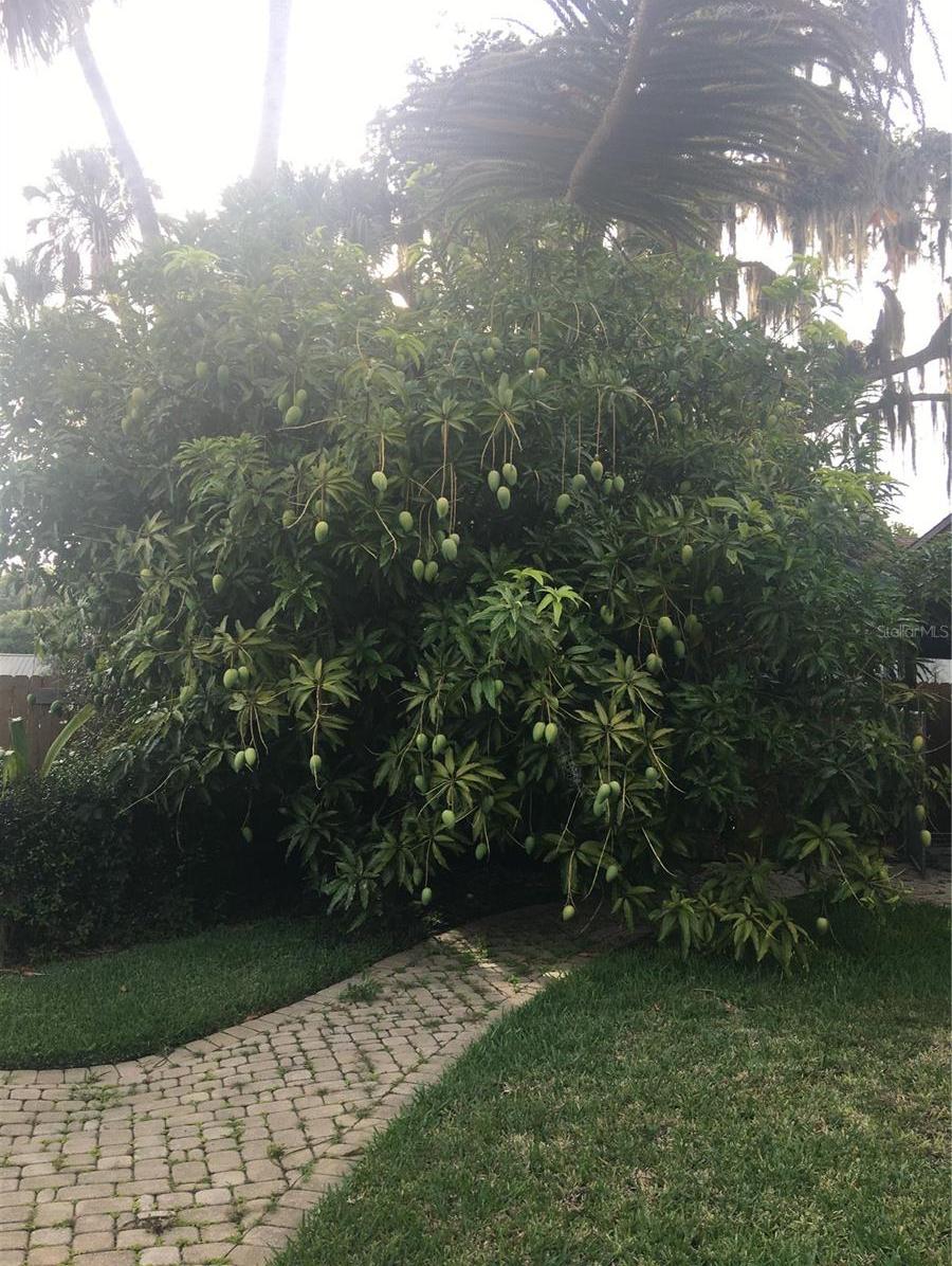 Photo #99