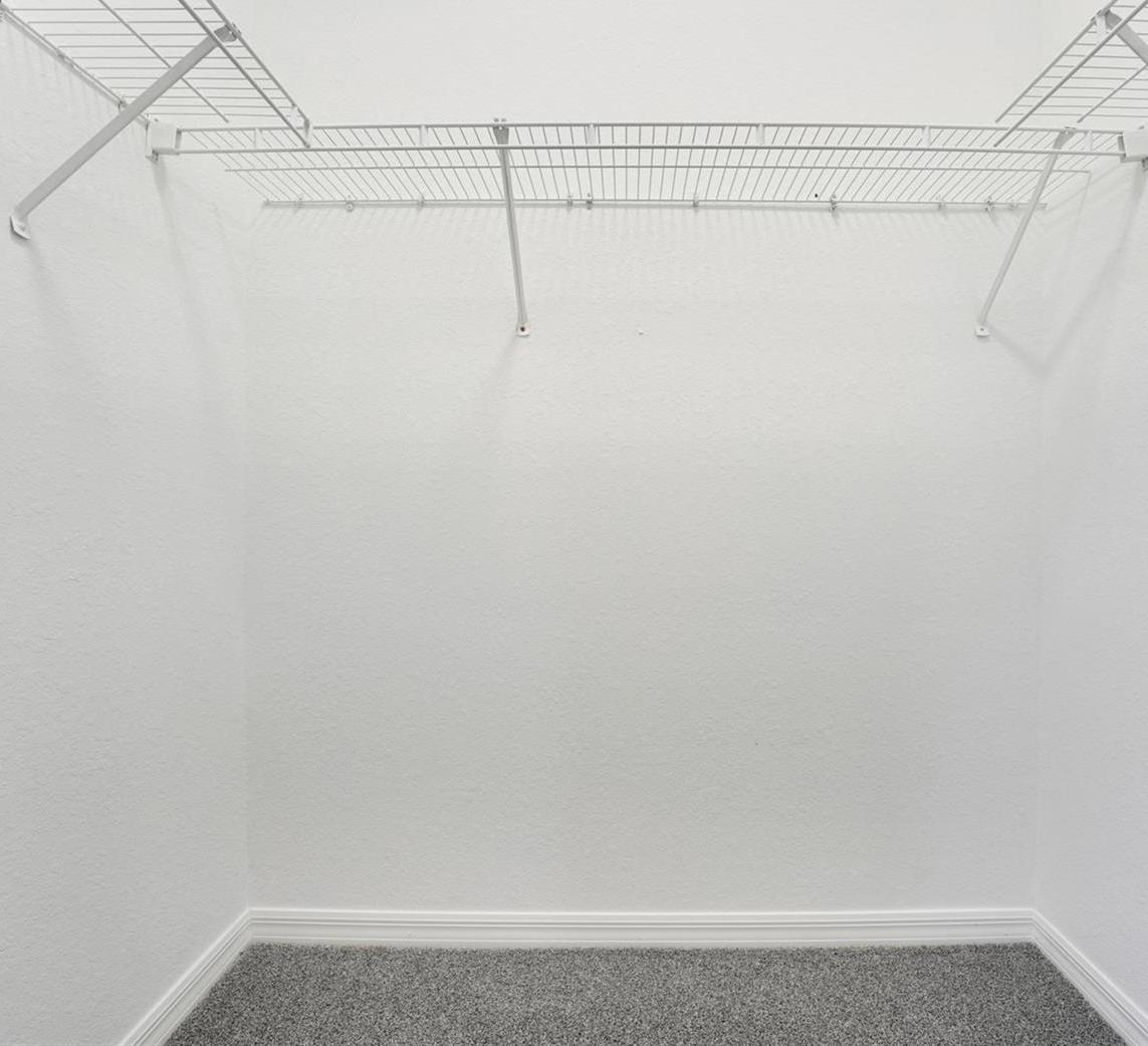 Photo #17
