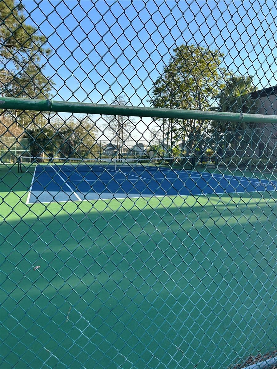 Photo #17