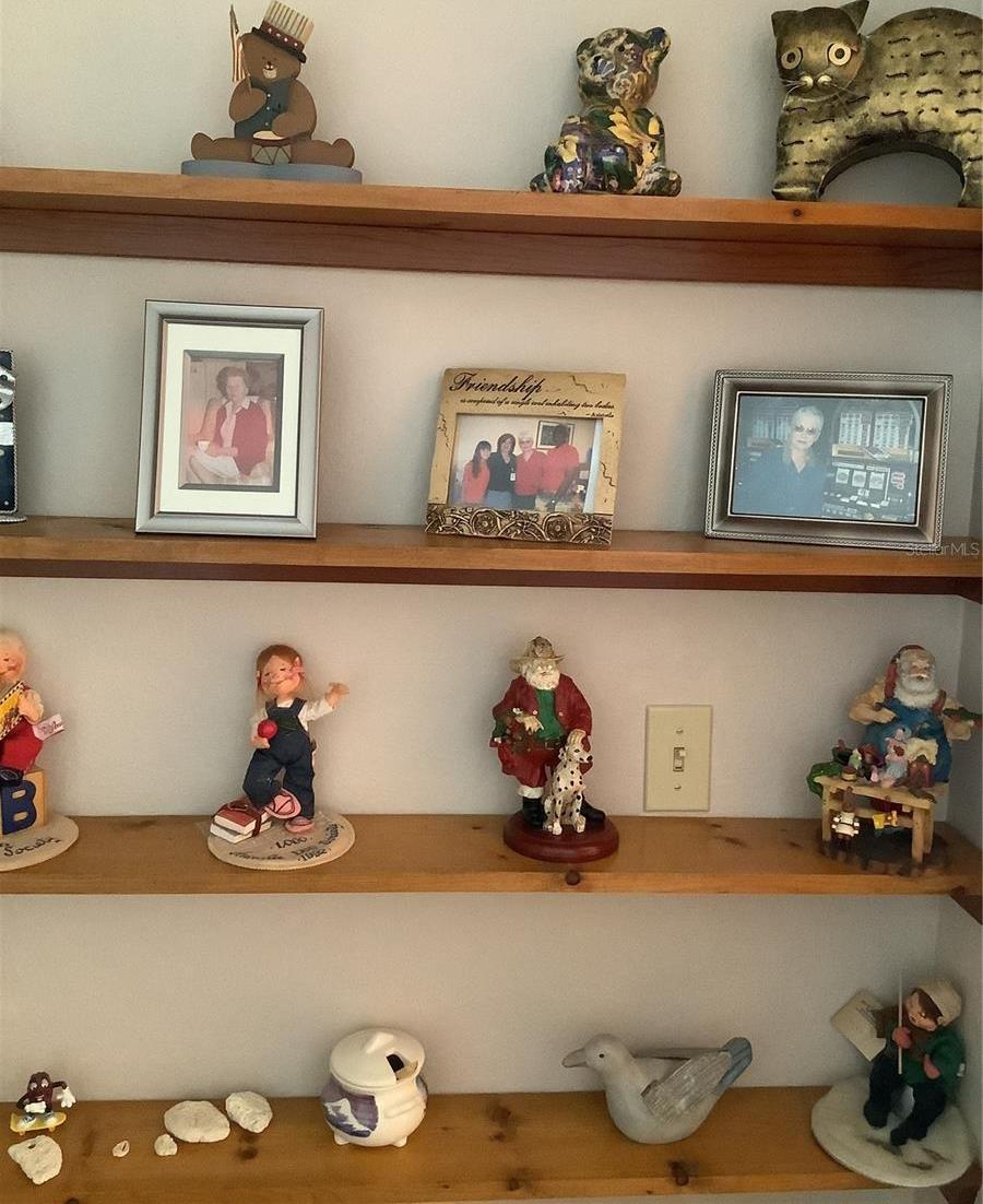 Photo #14