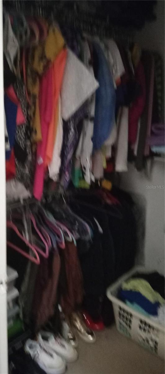 Photo #13