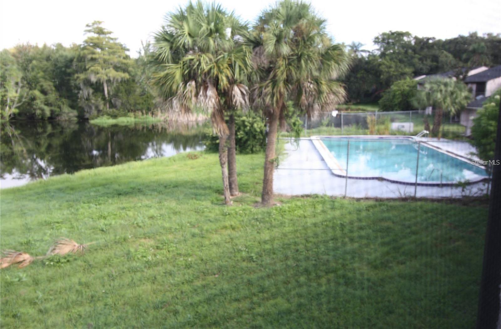 Photo #13