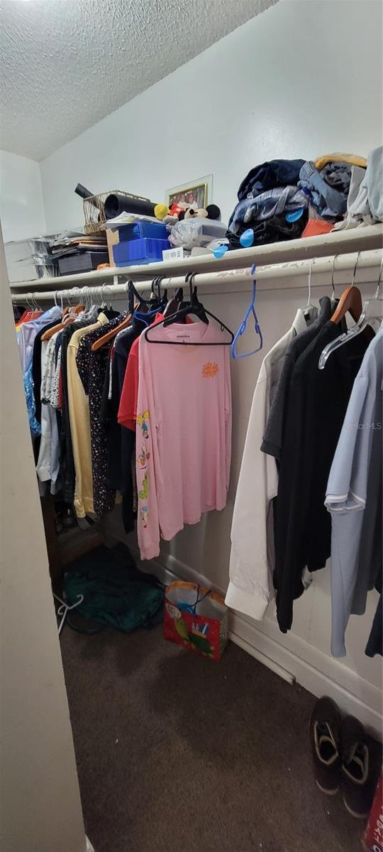 Photo #5