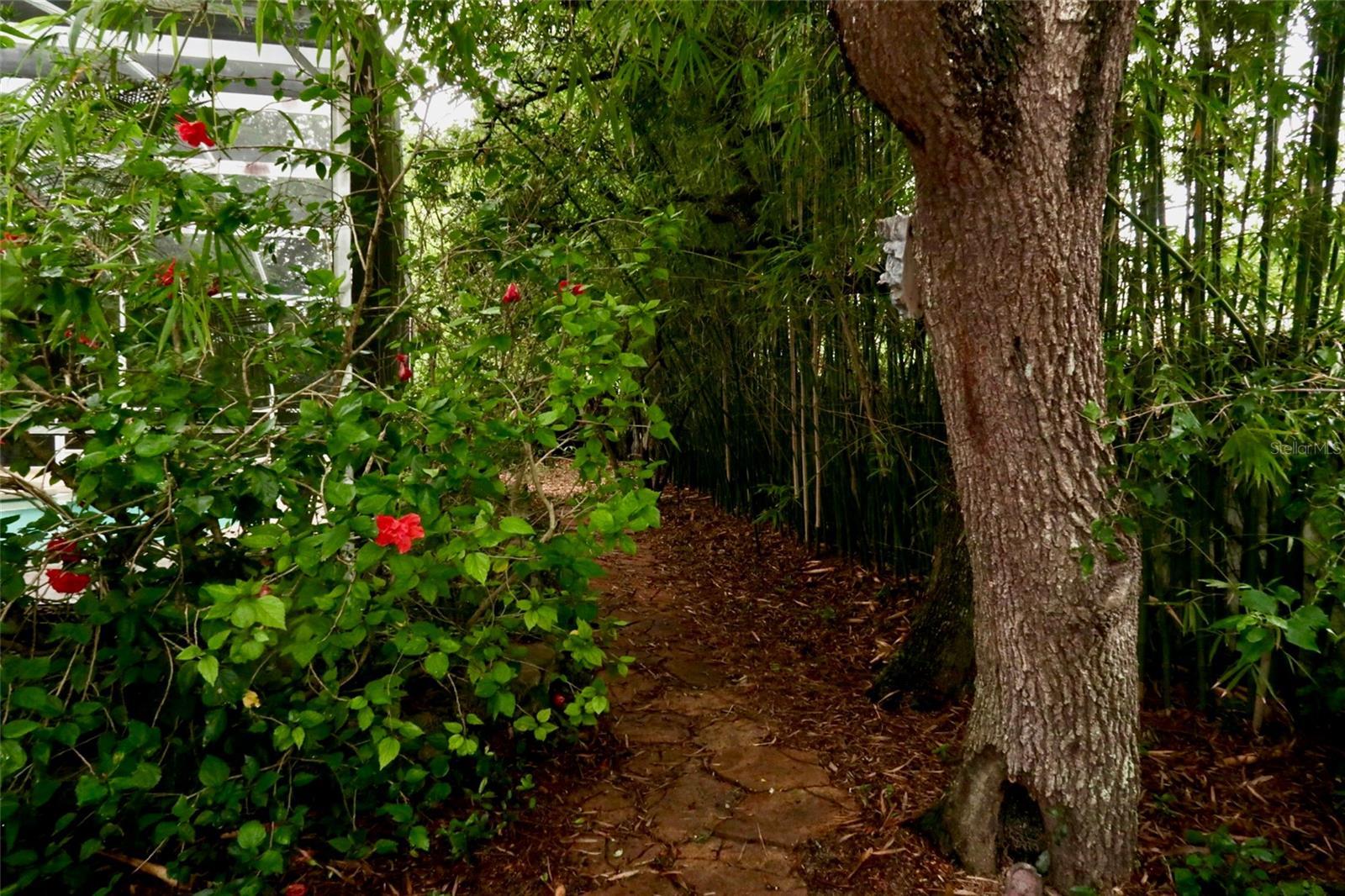Photo #21