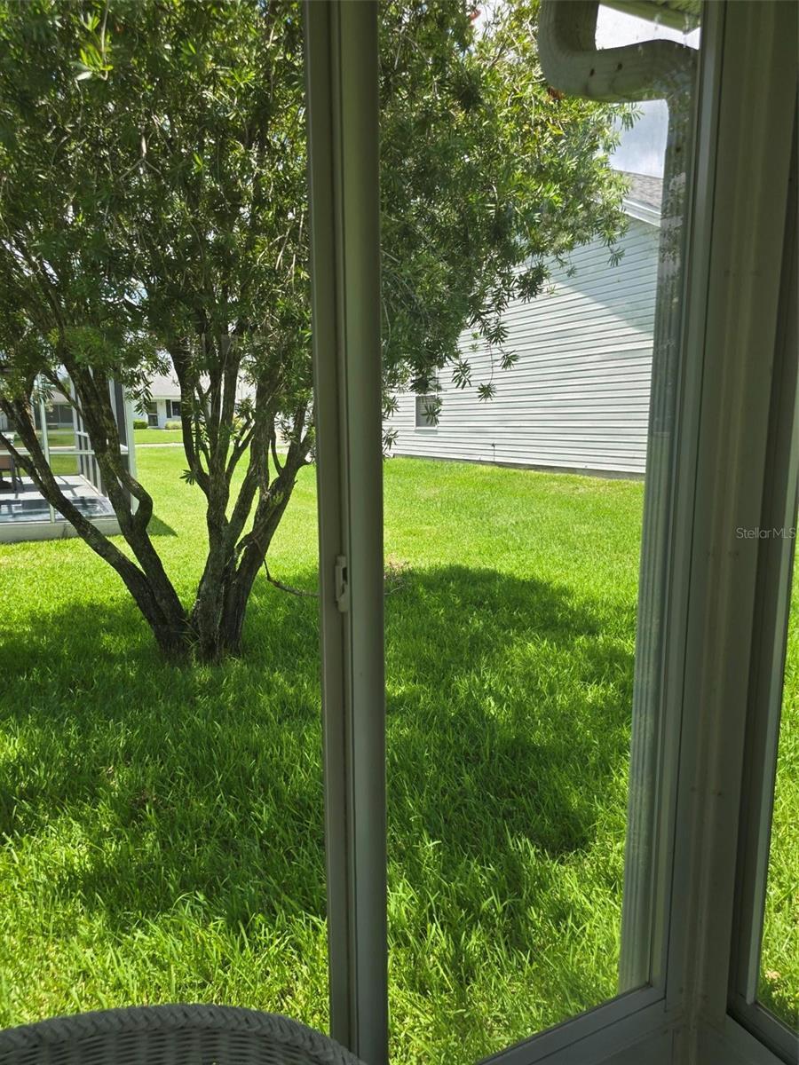 Photo #42