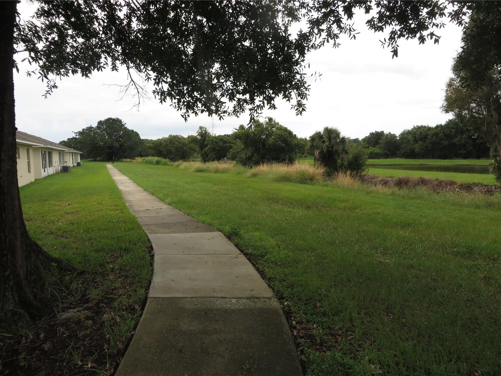Photo #24