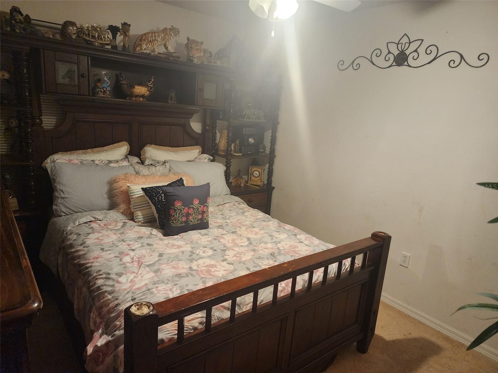 Photo #21