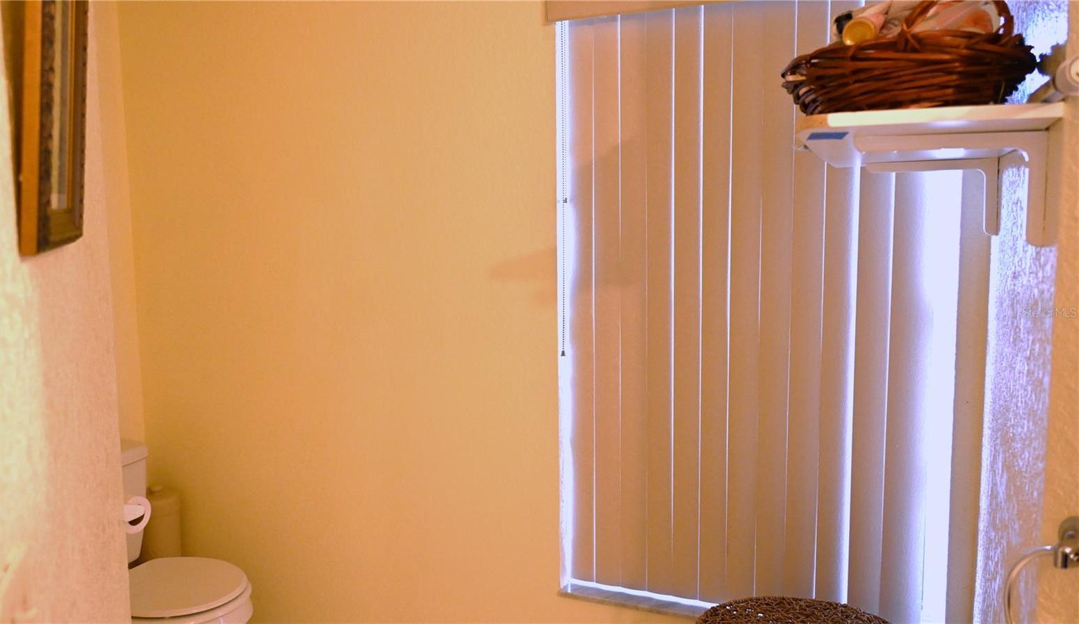 Photo #12