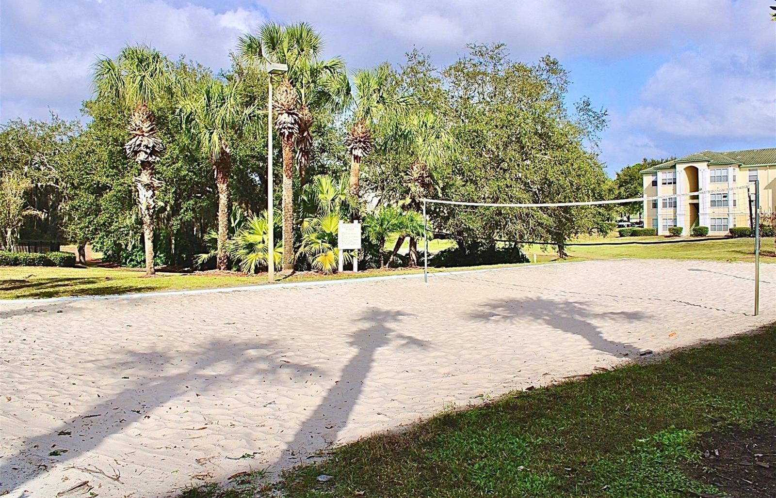 Photo #31