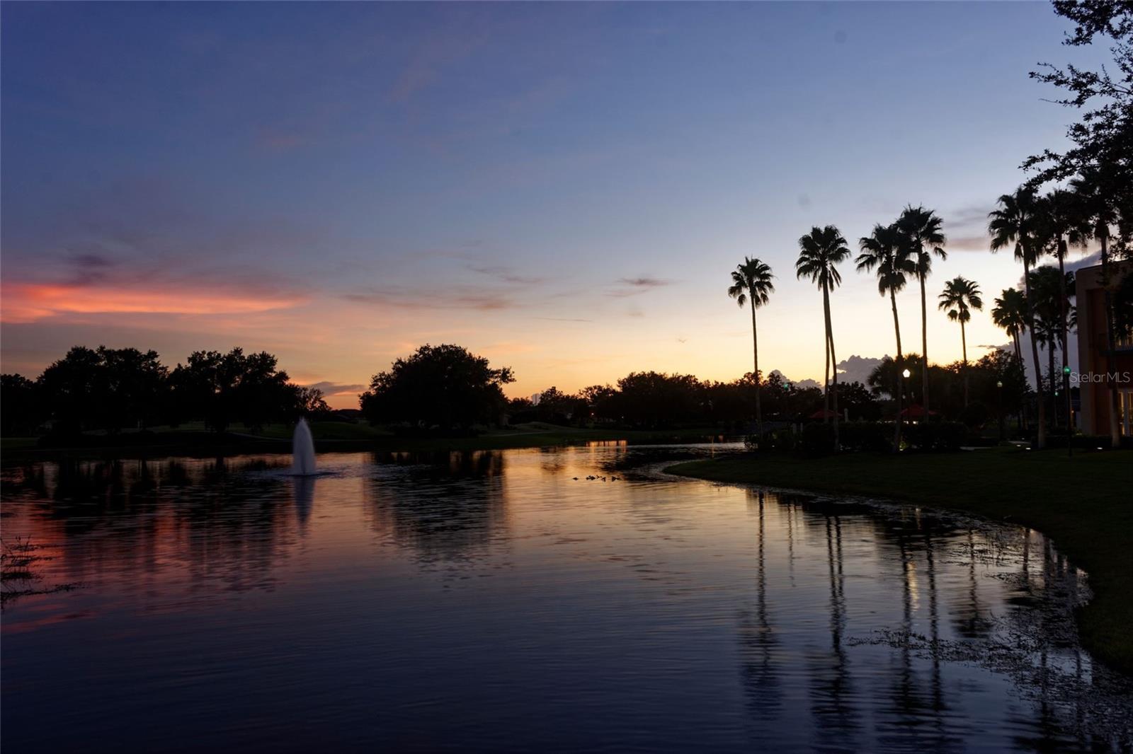 Photo #52