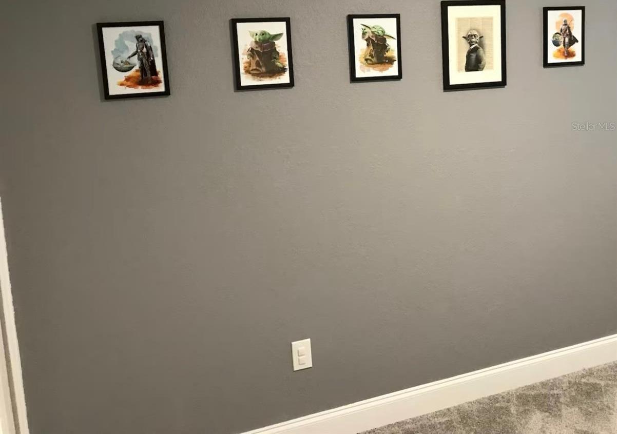 Photo #15