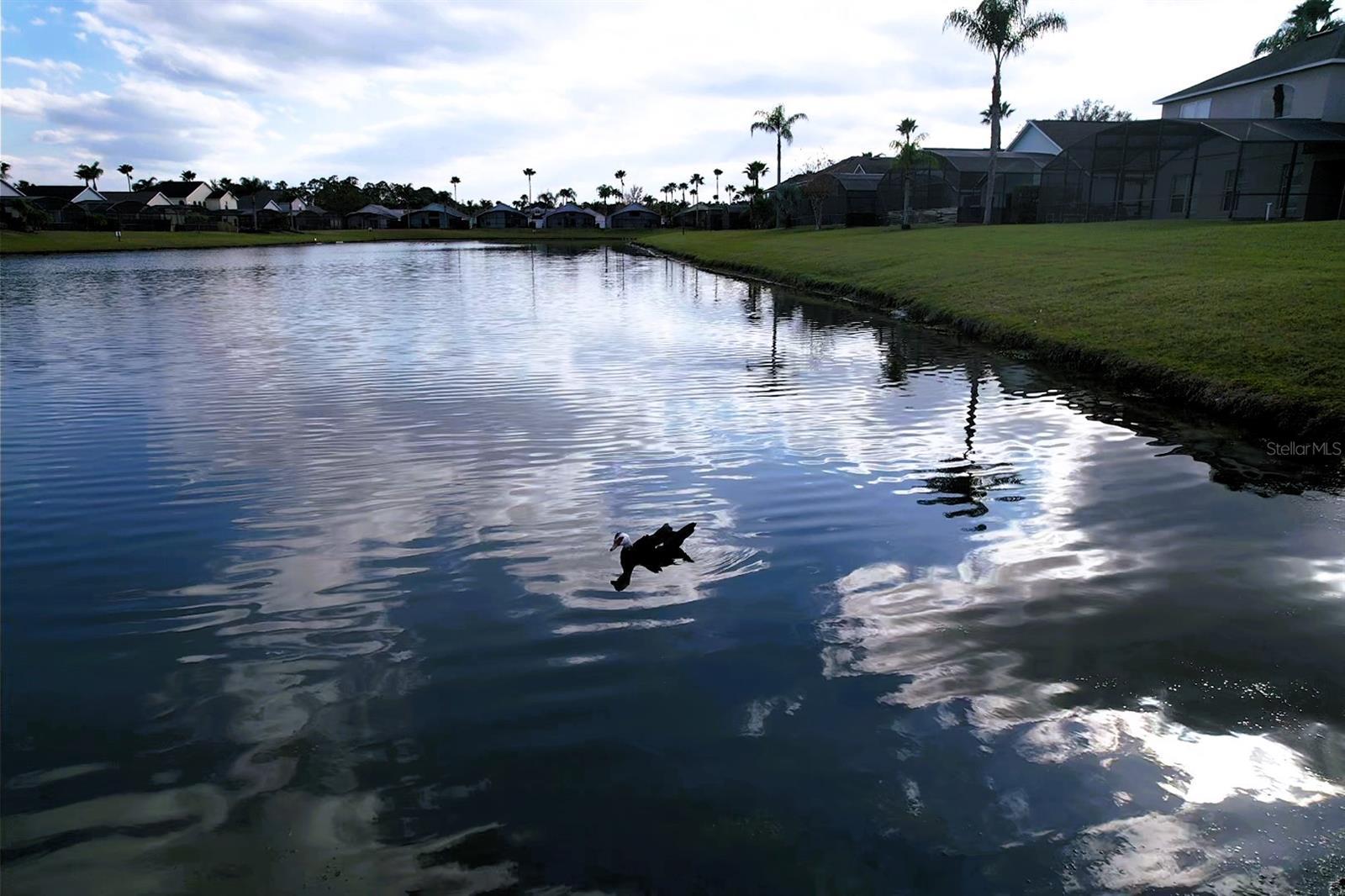Photo #57