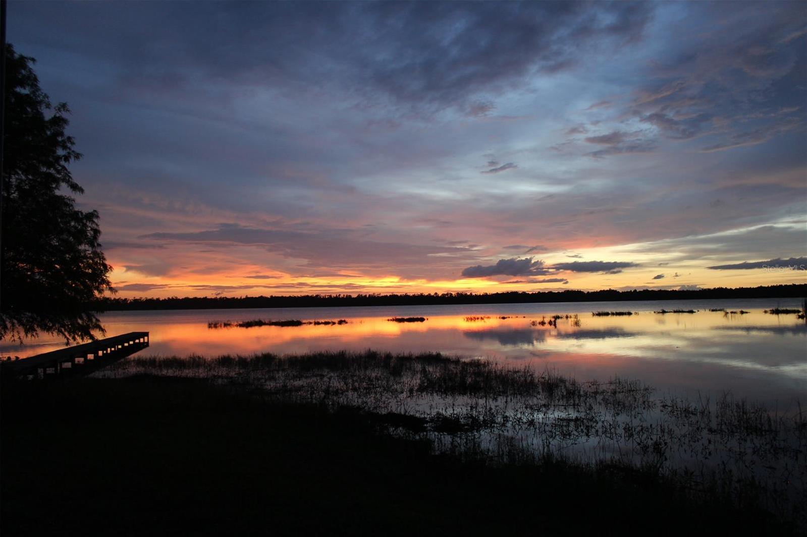 Photo #46